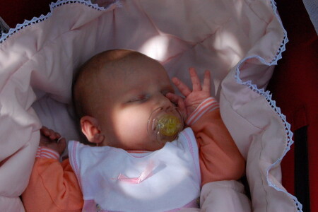 Моя Елизавета