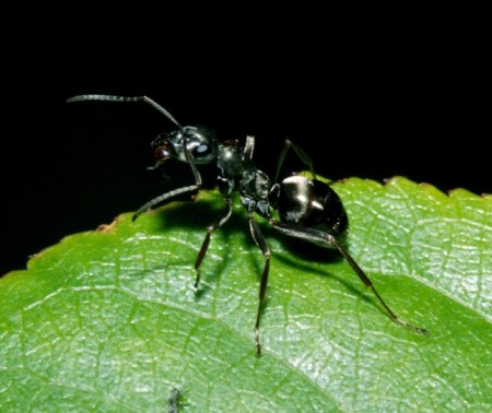 На краю земли