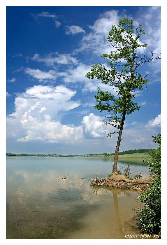 У реки