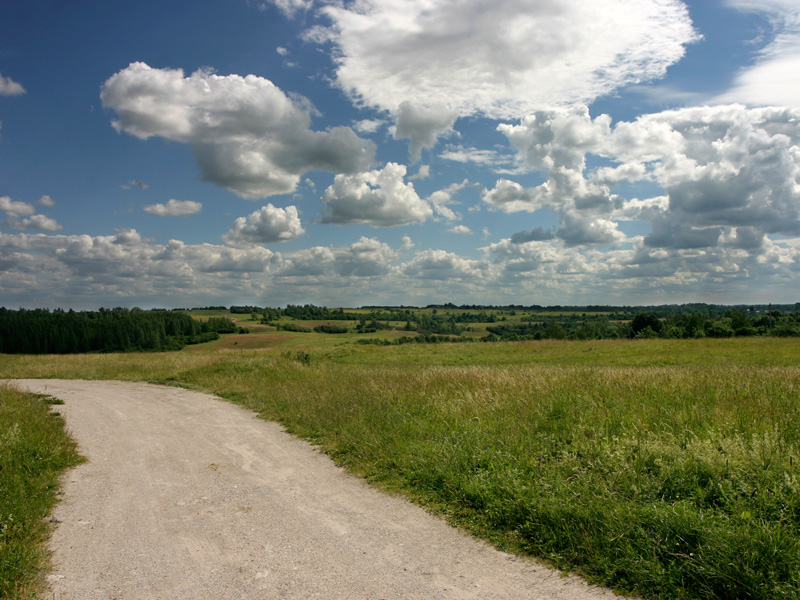 Дорога.