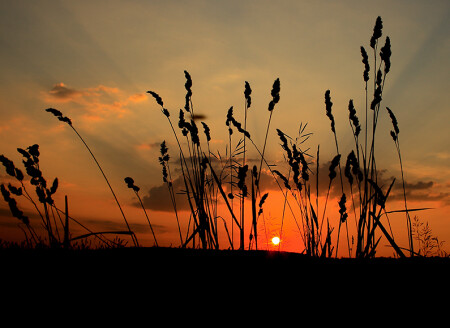 Дело к ночи