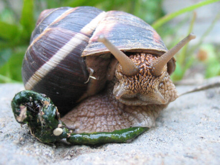 Мне кажется я на что-то наступила