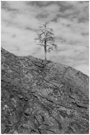 одиночество...