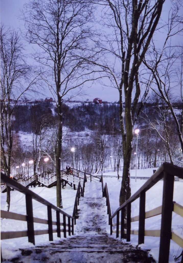 Вниз по лестнице, ведущей вверх