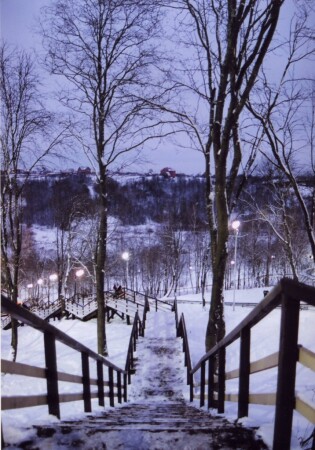 Вниз по лестнице, ведущей вверх