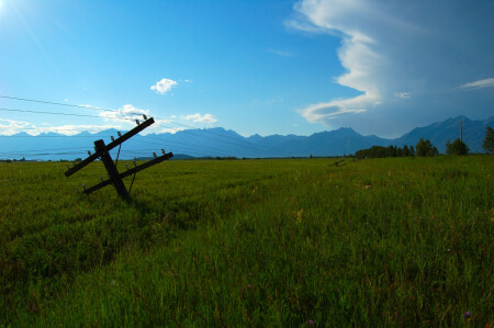 Сложившие головы