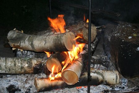 горят дровишки