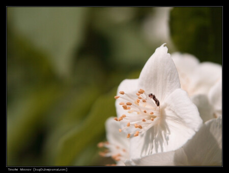 наконец добрался