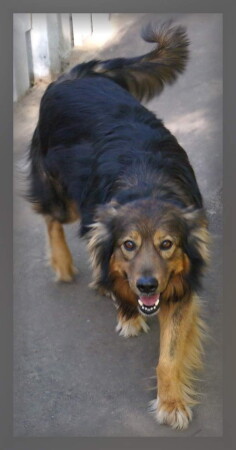 я за колбасой