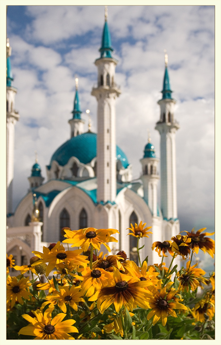 ..Городские цветы..