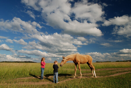 Знакомство