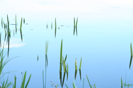 пронзили небо