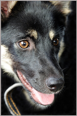 задумалась