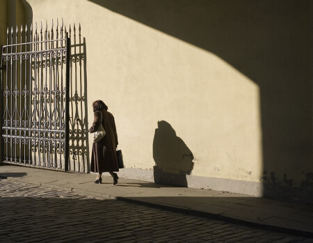 Тень будущего