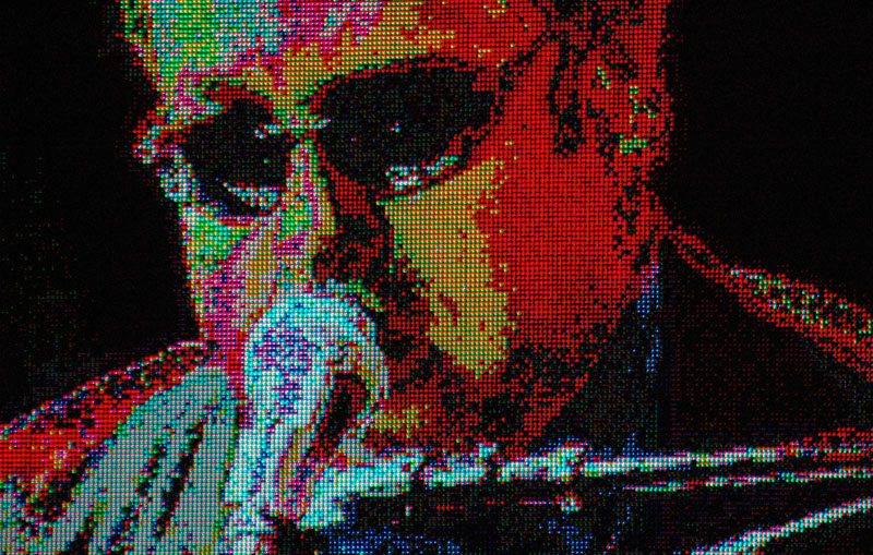 Elton 
