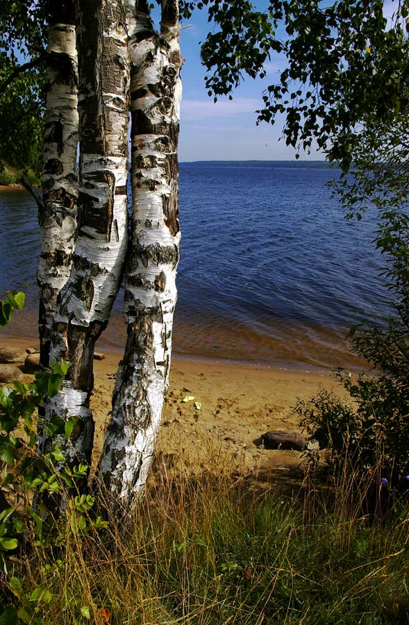 Берег 3