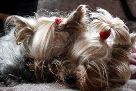 маленькое счастье