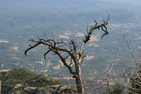 Я лучше буду зеленеть внизу