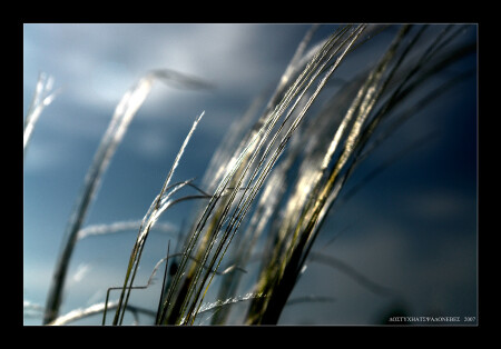 : ответы [1/5]