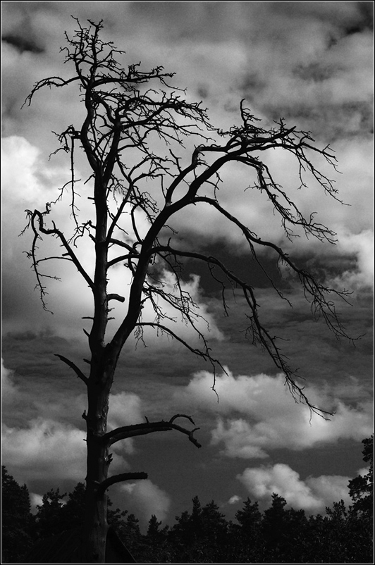 dismal mood