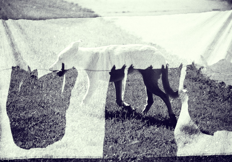ЧИСТО ХСоветная ФОТА...