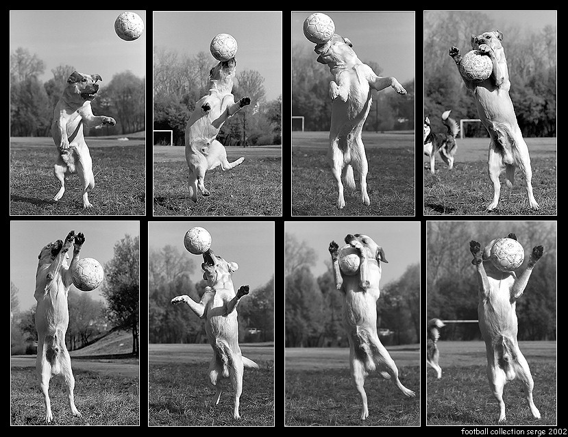 поздравительная фотография