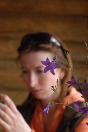 колокольчик 