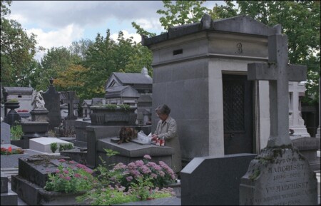 пикник на обочине