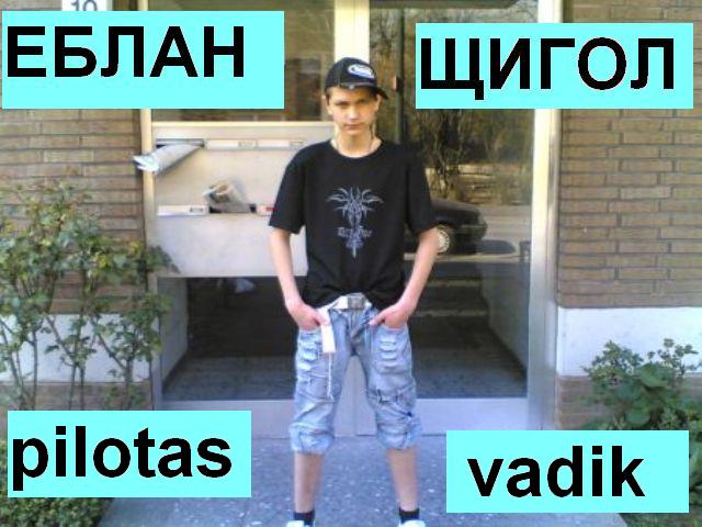 щигол