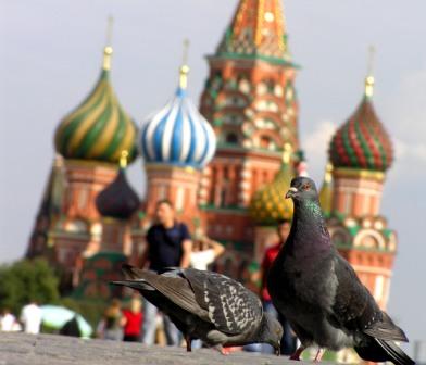 Туристас