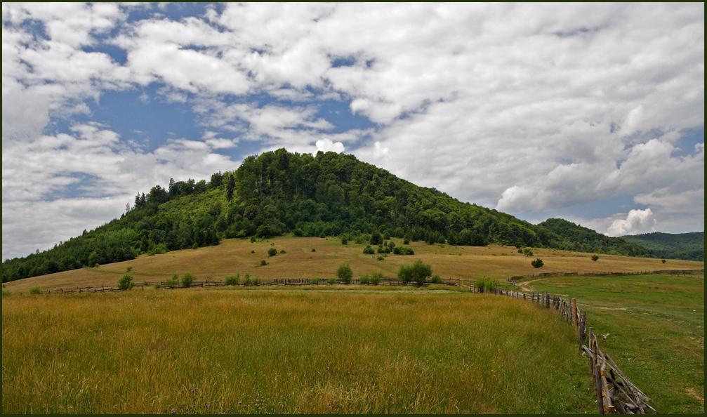 Макушка лета