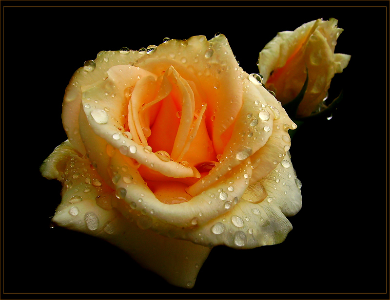 for you...
