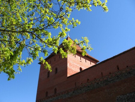 Лидский замок