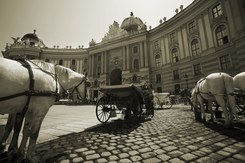 Vienna