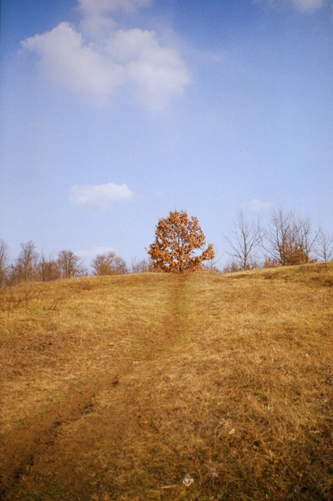 ToskA