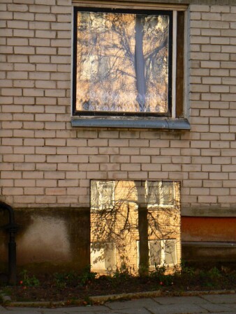 Linden and windows