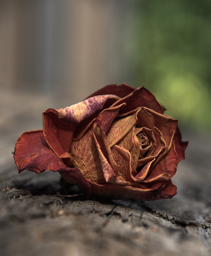 nature morte - мертвая природа