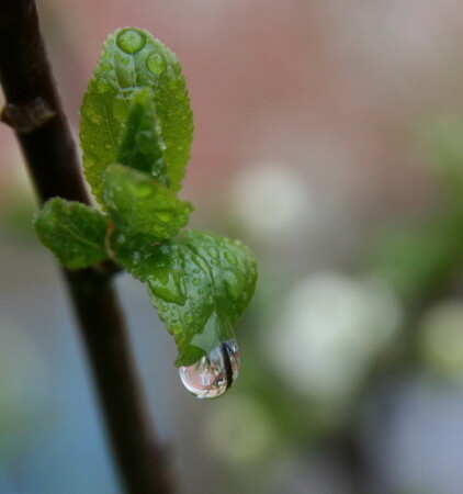 Зазеркалье