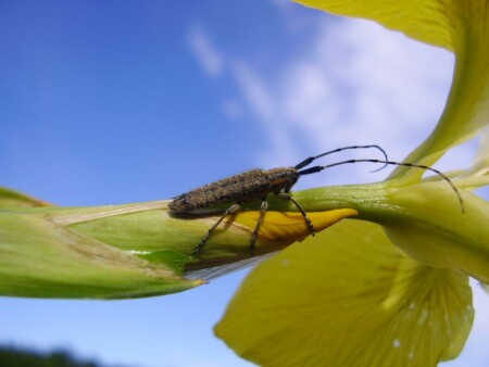 Долгий путь