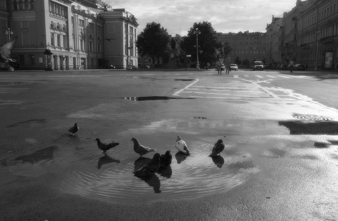 про водные продцедуры