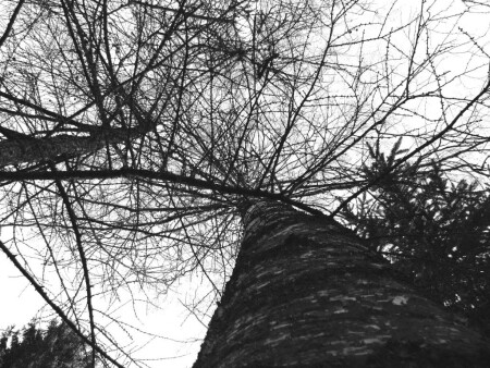 без названия