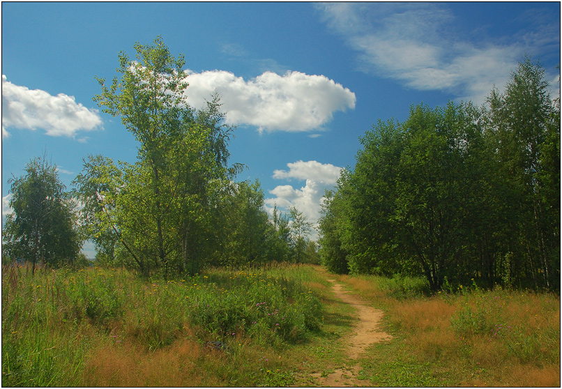 На крылатских холмах