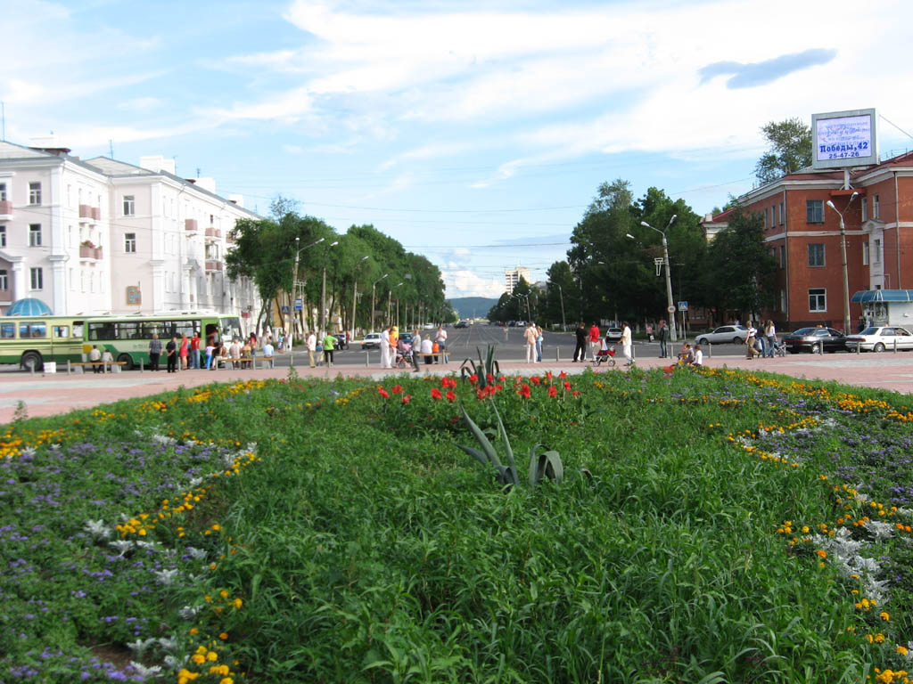 Городские цветы
