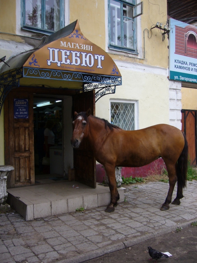 Попрошайка