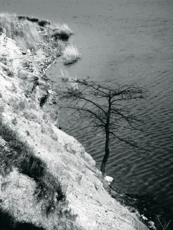 одиночество