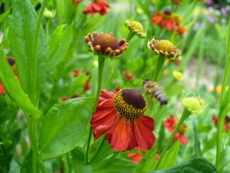 Тянет на сладкое...