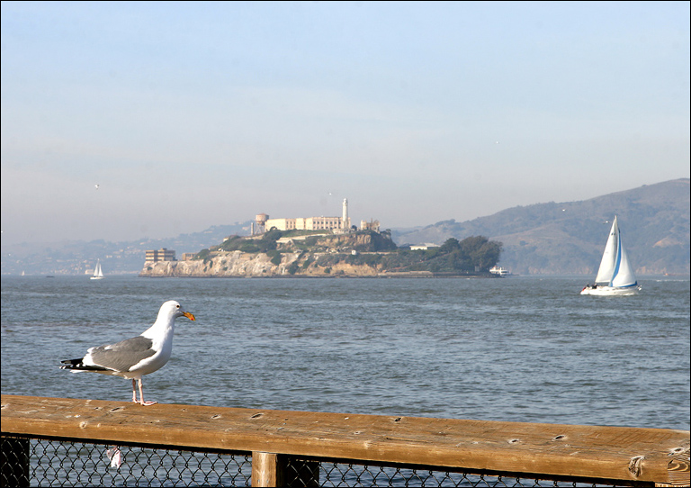 Alcatraz view