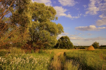 Время косить