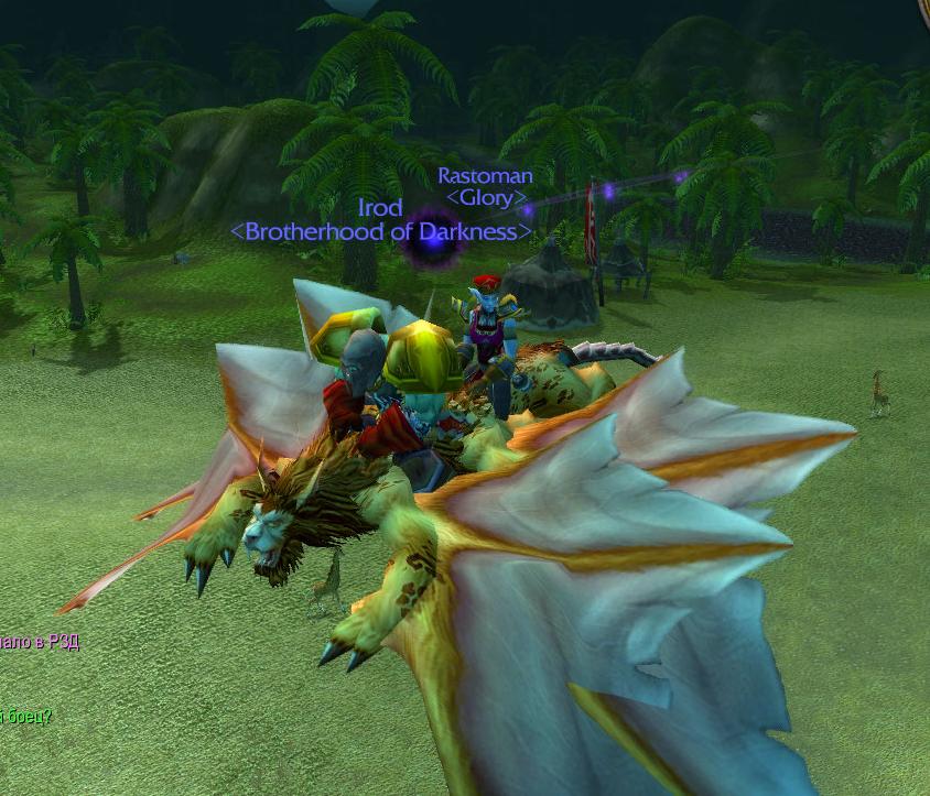 fly