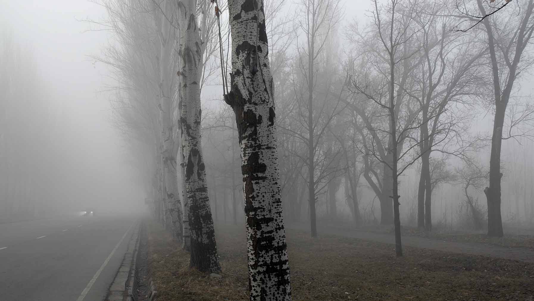Утренний туман